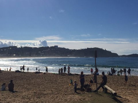 Avoca Sands Cafe - Accommodation Yamba 0