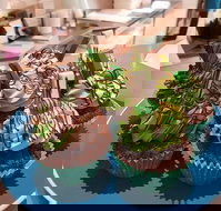 The Galleon Takeaway - Accommodation Yamba