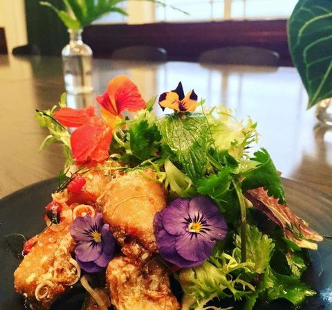 Apple Daily Bar & Eating House - Accommodation Yamba 3