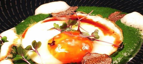 Aquavue Cafe Watersports - Accommodation Yamba 2