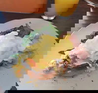 Stock Bar  Grill - Accommodation Yamba