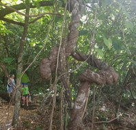 Foxy's Bar - Accommodation Yamba