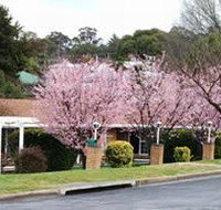 White Lanterns Motel - Accommodation Yamba