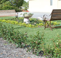 SureStay by BW The Clarence on Melville - Accommodation Yamba