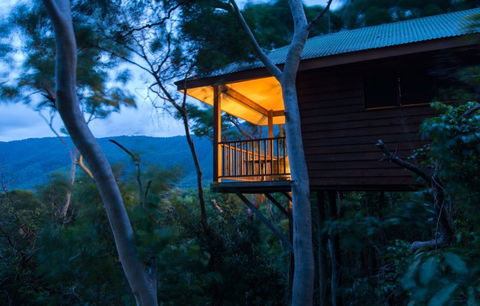 Thala Beach Nature Reserve - Accommodation Yamba 0