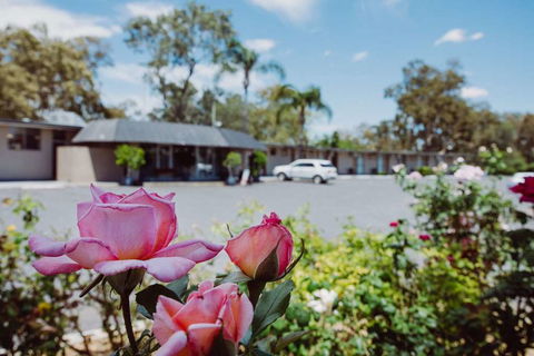 Artesian Spa Motor Inn - Accommodation Yamba 2