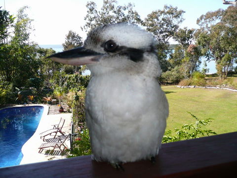 Yarrandabbi Dreaming Boutique B&B - Accommodation Yamba 2