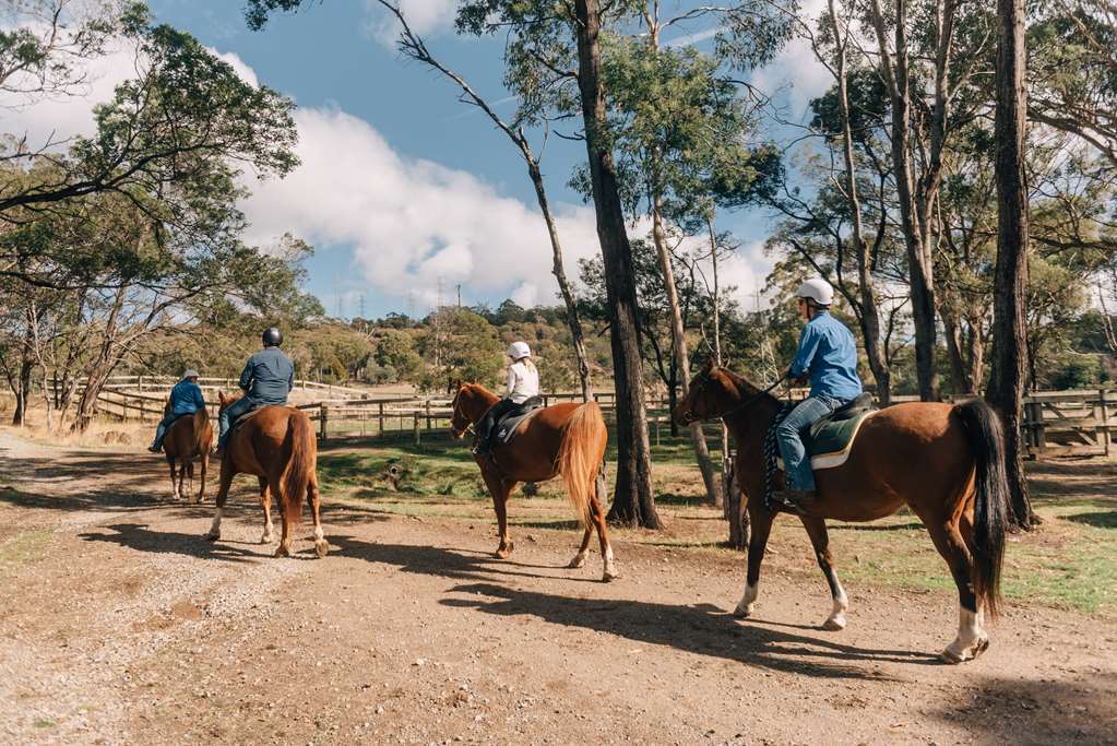 Launceston TAS Accommodation Yamba