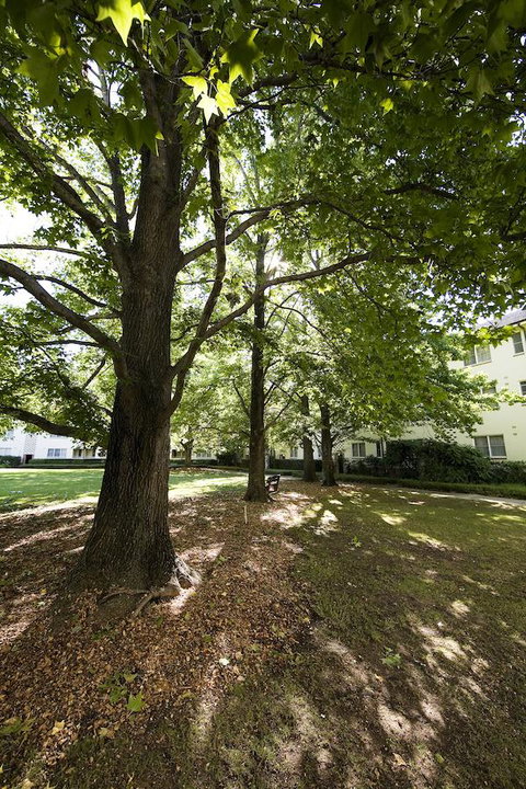 University House - ANU - Accommodation Yamba 28