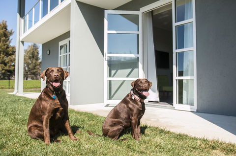 Abode Narrabundah - Accommodation Yamba 20