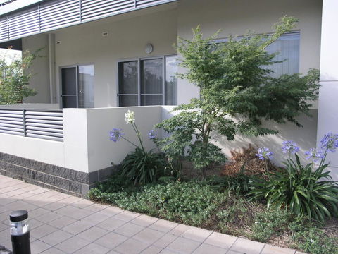 Kesh At Aamira - Accommodation Yamba 16