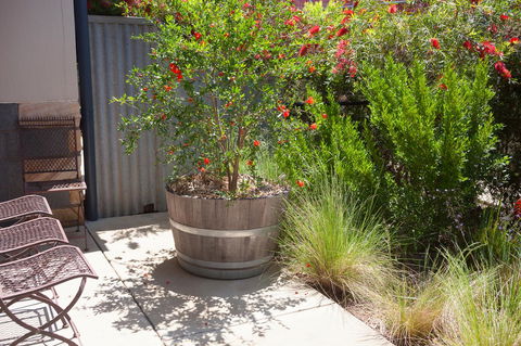 One Of A Kind Apartments - Accommodation Yamba 15