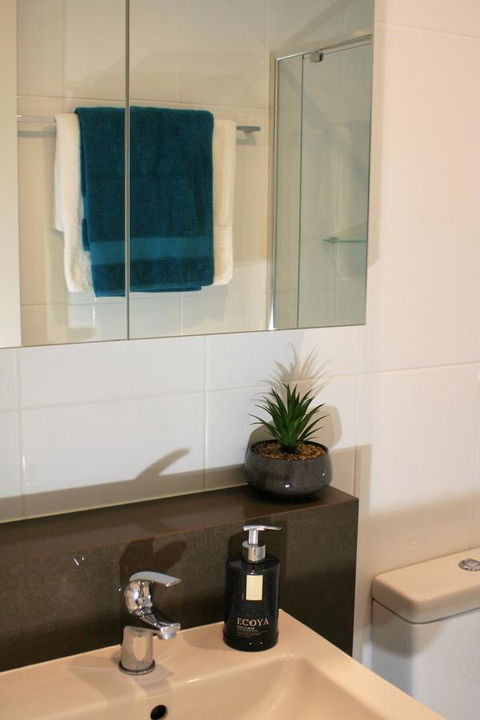 Modern Executive Apt@Barton*1BR*WiFi*Gym*Secure Parking*Canberra - Accommodation Yamba 13