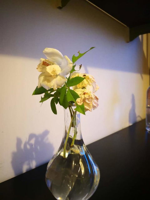 Space And Quiet Safe Room Canberra - Accommodation Yamba 10