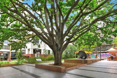 Canberra Luxury Apartment 3 - Accommodation Yamba 29