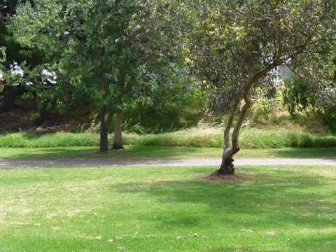 Victor Harbor Holiday Park - Accommodation Yamba 24
