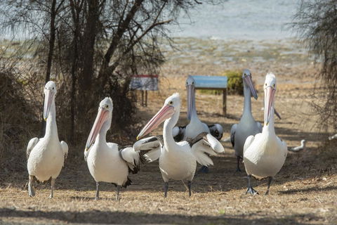 Mercure Kangaroo Island Lodge - Accommodation Yamba 15