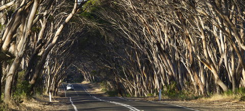 Mercure Kangaroo Island Lodge - Accommodation Yamba 40