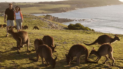 Kangaroo Island Seafront - Accommodation Yamba 13