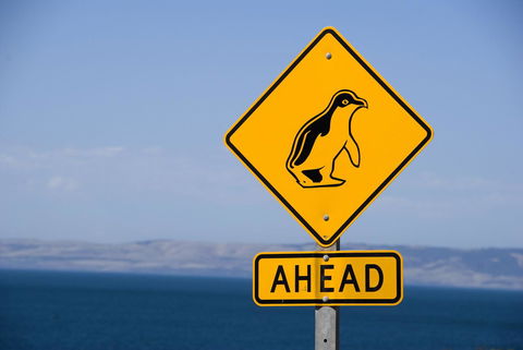 Kangaroo Island Seafront - Accommodation Yamba 43