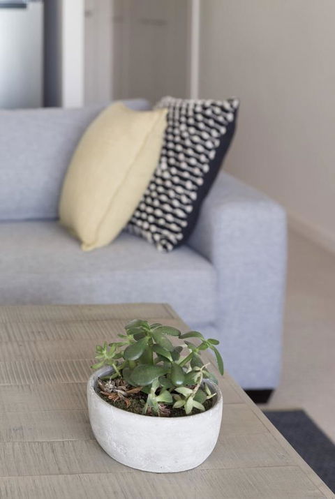 Port Adelaide Executive Waterfront Apartment - Accommodation Yamba 18
