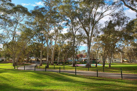 Discovery Parks - Clare - Accommodation Yamba 19