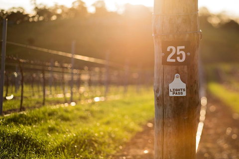 The Louise - Accommodation Yamba 44