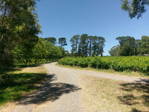 Lost In The Vines - Accommodation Yamba 28