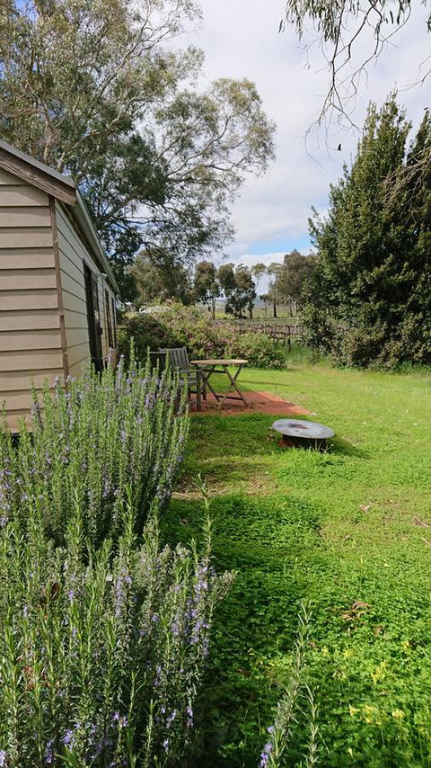Lost In The Vines - Accommodation Yamba 22