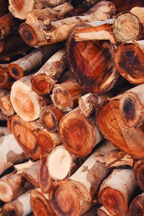 Lost In The Vines - Accommodation Yamba 20