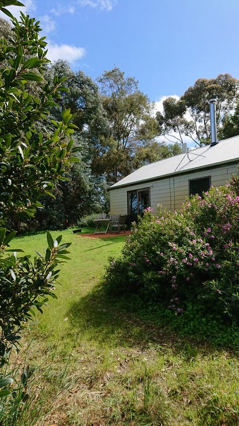 Lost In The Vines - Accommodation Yamba 26
