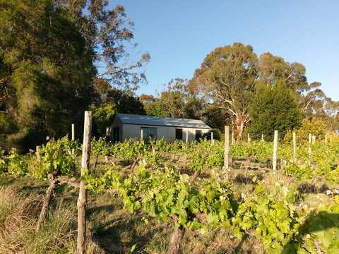 Lost In The Vines - Accommodation Yamba 25