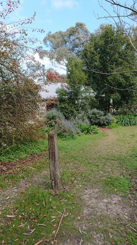 Lost In The Vines - Accommodation Yamba 21