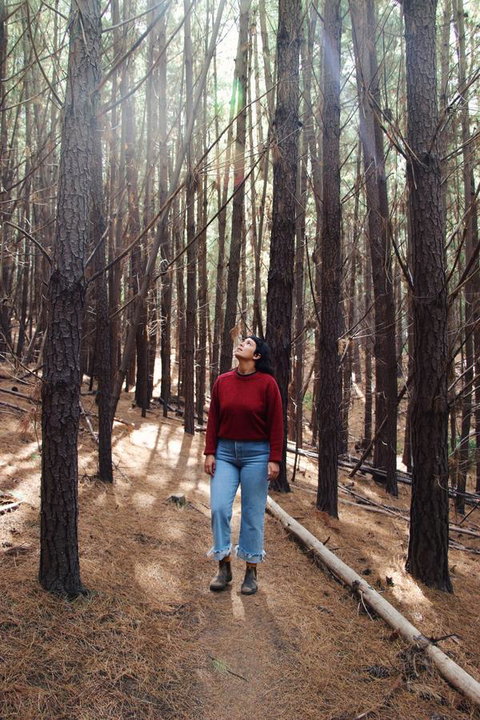 Lost In The Vines - Accommodation Yamba 19