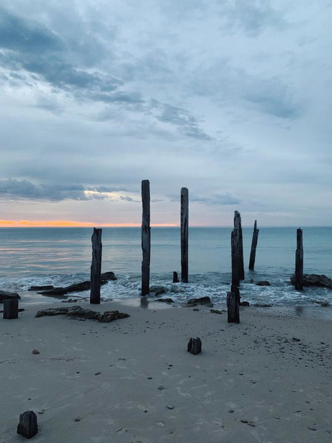 Lost In The Vines - Accommodation Yamba 18