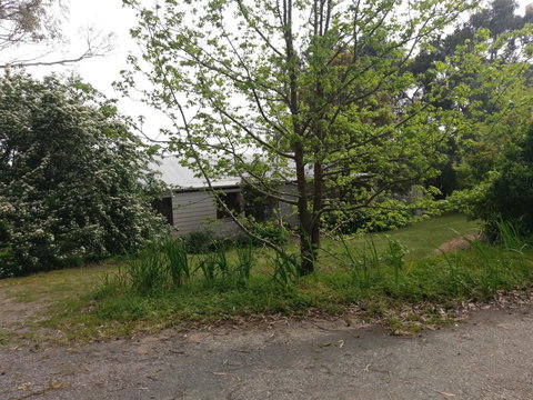 Lost In The Vines - Accommodation Yamba 24