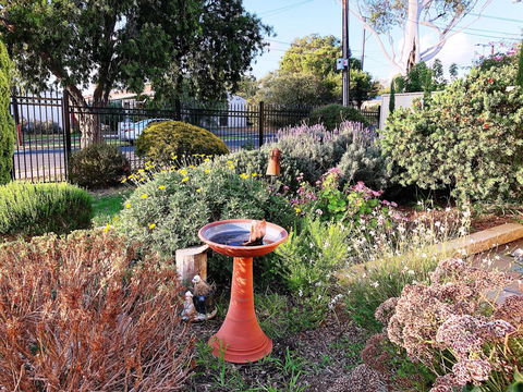 Beautiful Garden House - Accommodation Yamba 21