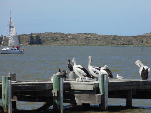 Baronet B & B - Accommodation Yamba 20