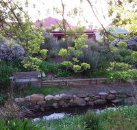 Frog Song at Willunga - Accommodation Yamba