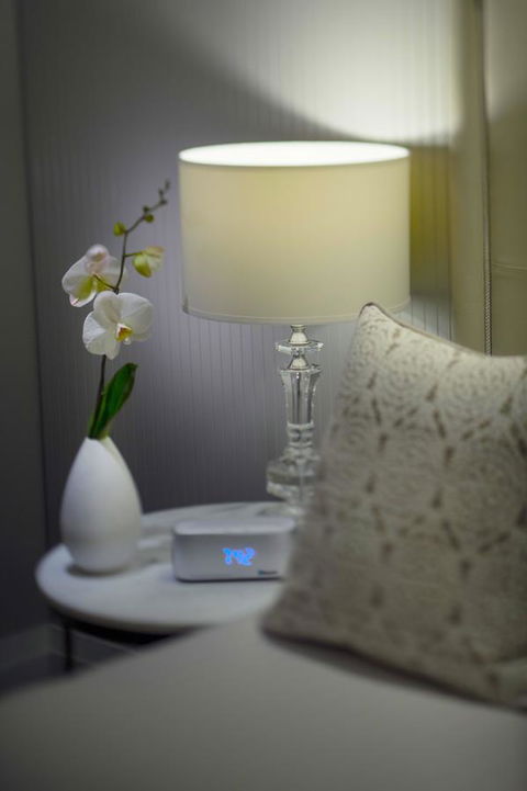 Mayfair Hotel - Accommodation Yamba 13