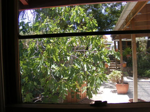 Trevalia Accommodation - Accommodation Yamba 4