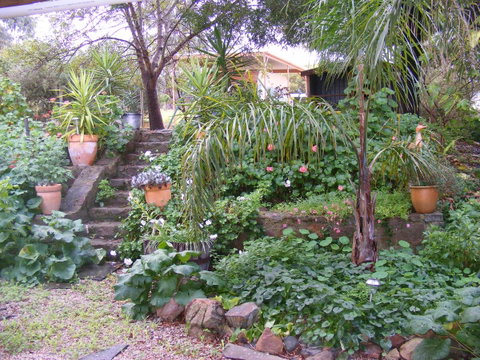 Trevalia Accommodation - Accommodation Yamba 12
