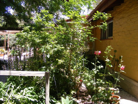 Trevalia Accommodation - Accommodation Yamba 7