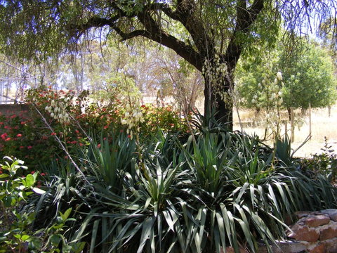 Trevalia Accommodation - Accommodation Yamba 6
