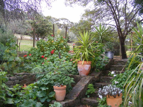 Trevalia Accommodation - Accommodation Yamba 13