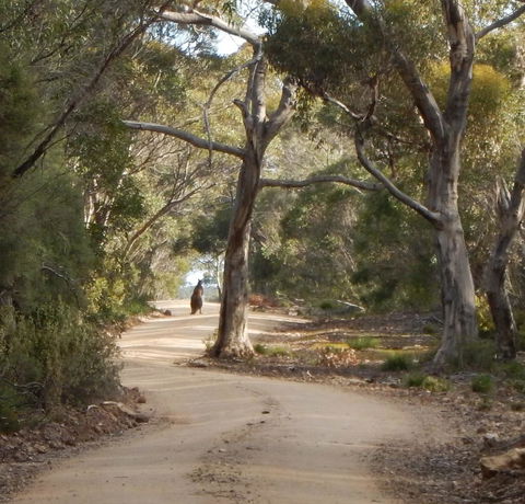 Kangaroo Island Wilderness Retreat - Accommodation Yamba 22
