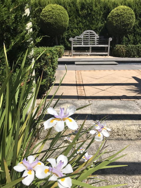 S T U D I O 22 Peaceful Retreat With Garden Views - Accommodation Yamba 13