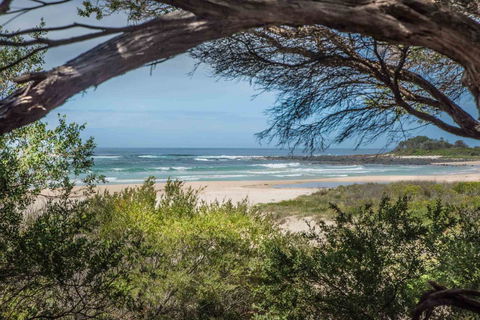 BIG4 Tasman Holiday Parks - Racecourse Beach - Accommodation Yamba 7