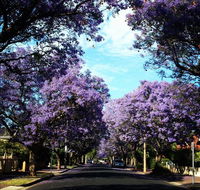 Monaco Court Apartment Adelaide - Accommodation Yamba