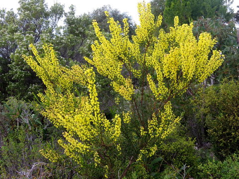 Kestrel Downs - Accommodation Yamba 26